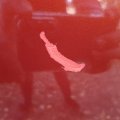 20261021_110423_resized